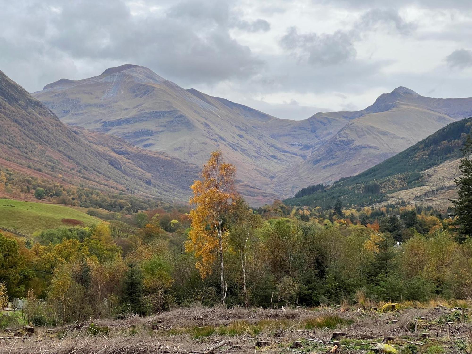 Stronchreggan View Guest House Fort William Exteriör bild